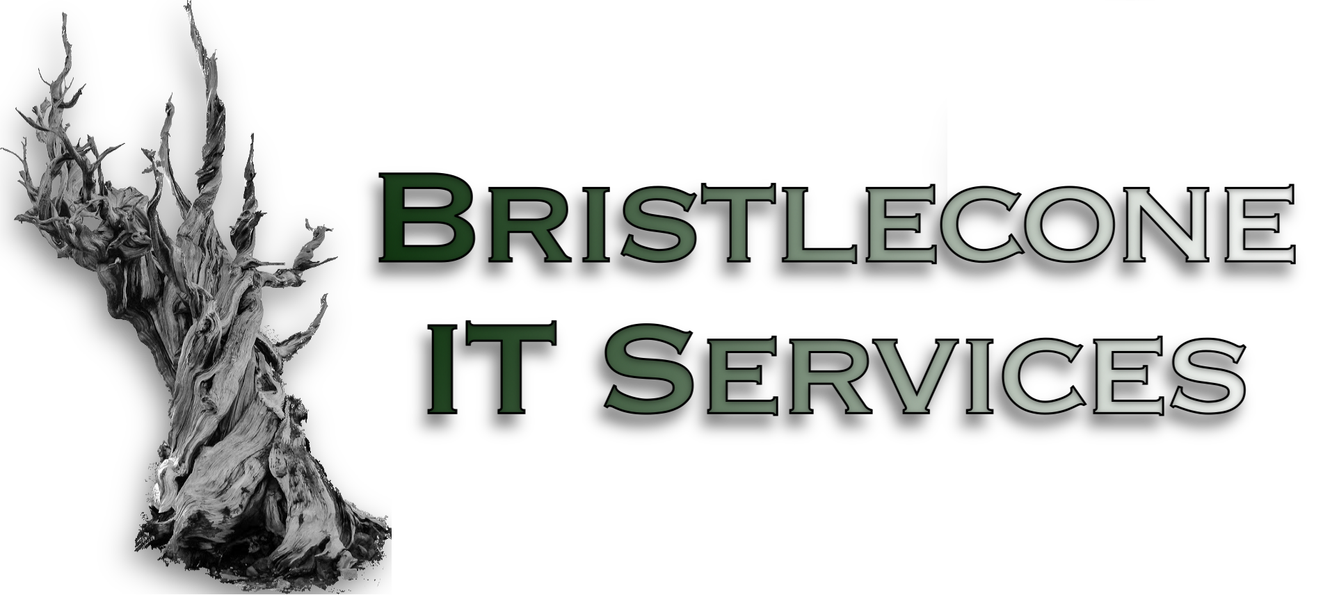 Bristlecone IT Services
